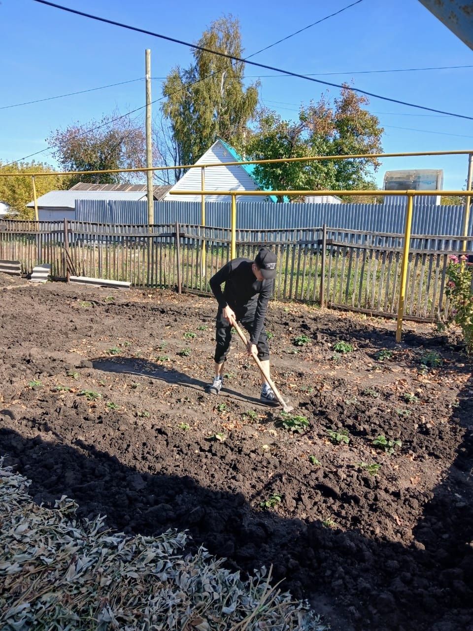 Нурлатские студенты помогли вдове ветерана ВОВ подготовить к зиме приусадебный участок