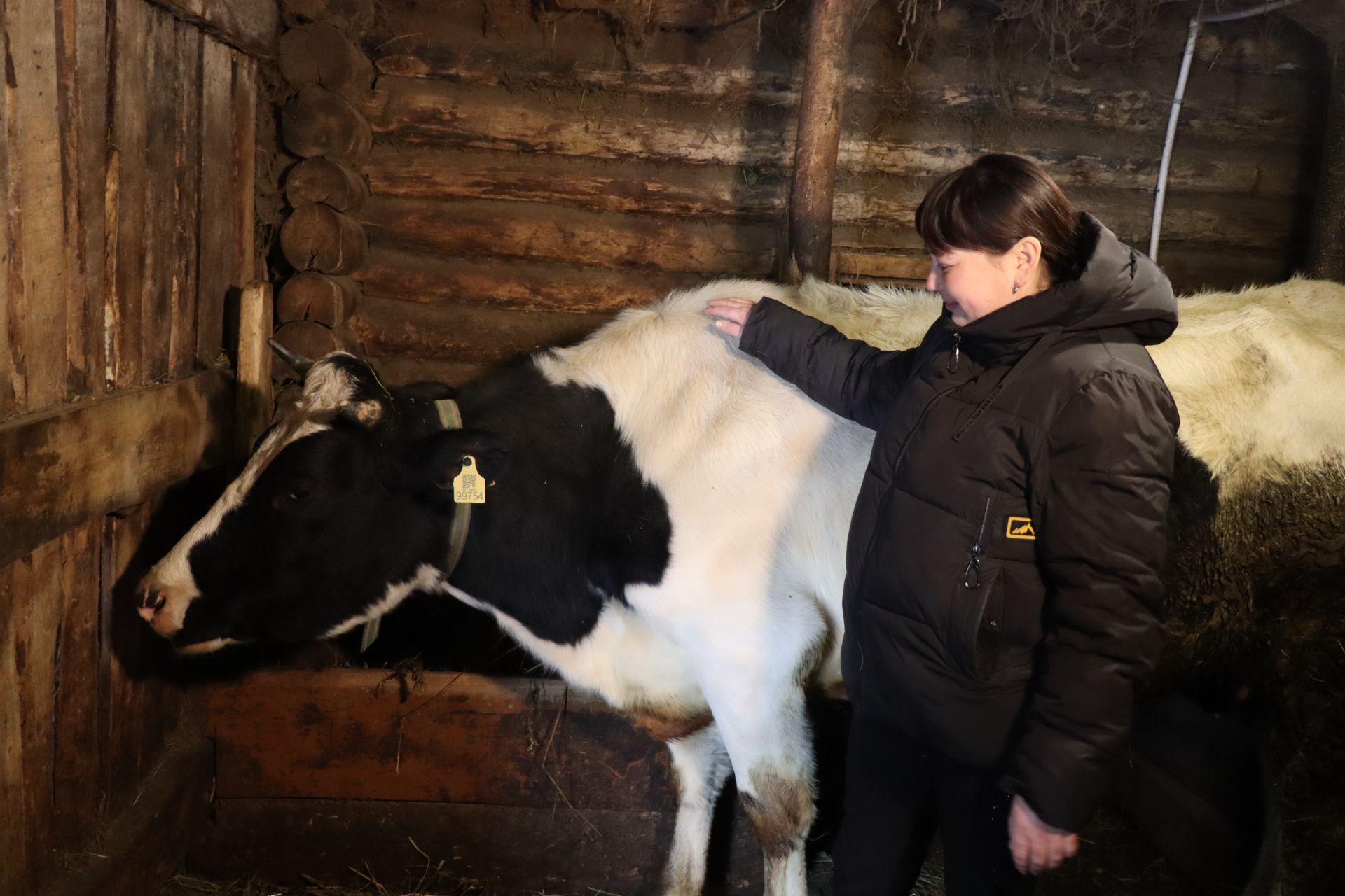 В двух КФХ Богдашкинского сельского поселения содержатся 134 головы КРС
