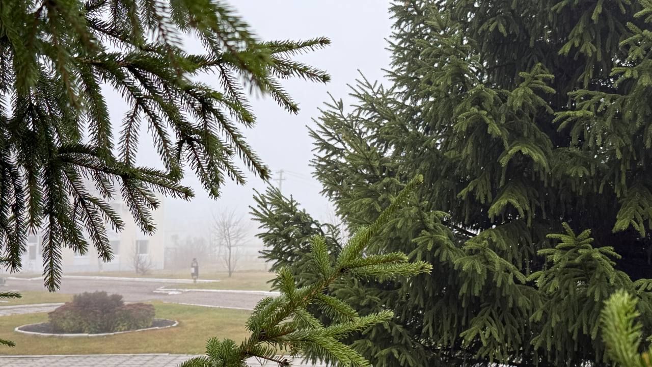 В Татарстане 21 ноября ожидаются туман и гололедица