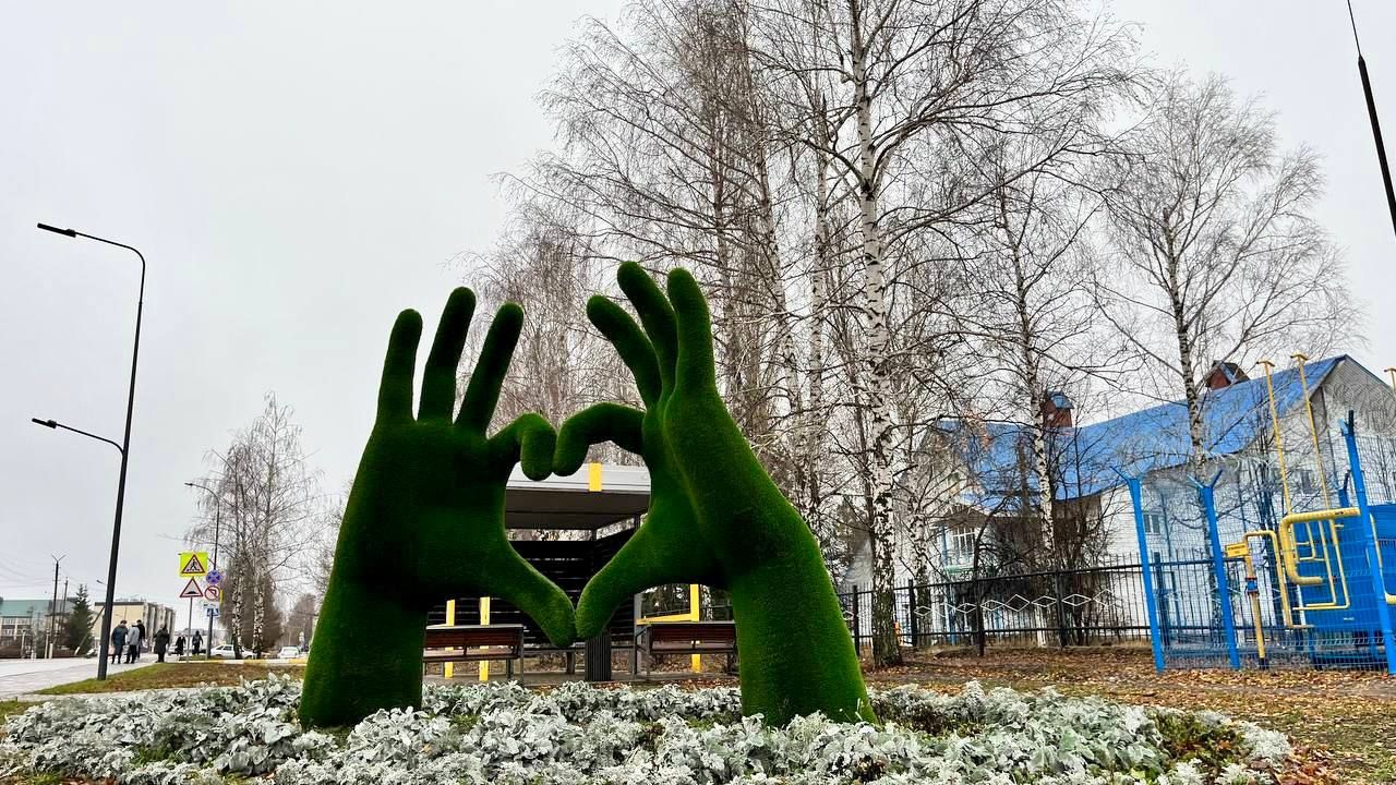 20 ноября: Праздники здоровья, мудрости и транспорта