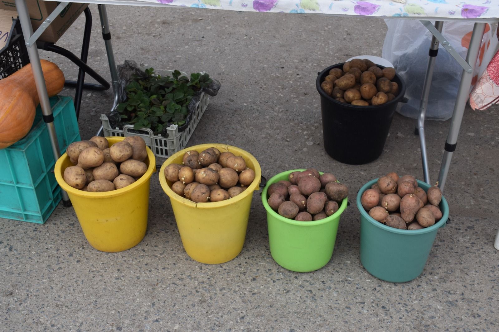 В Нурлате сегодня праздничная ярмарка