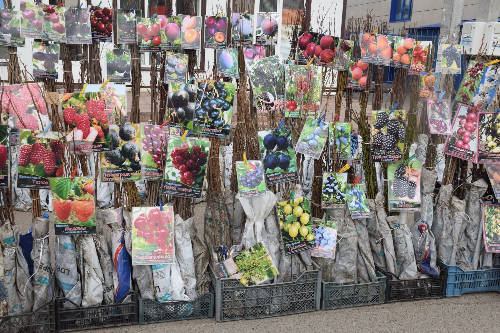 В Нурлате сегодня праздничная ярмарка