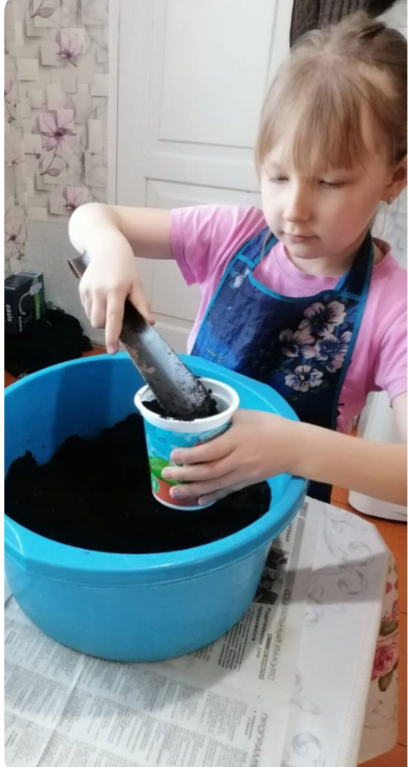 Юные экологи Егоркинской школы выращивают рассаду для школьного огорода