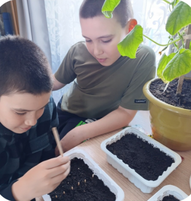 Юные экологи Егоркинской школы выращивают рассаду для школьного огорода