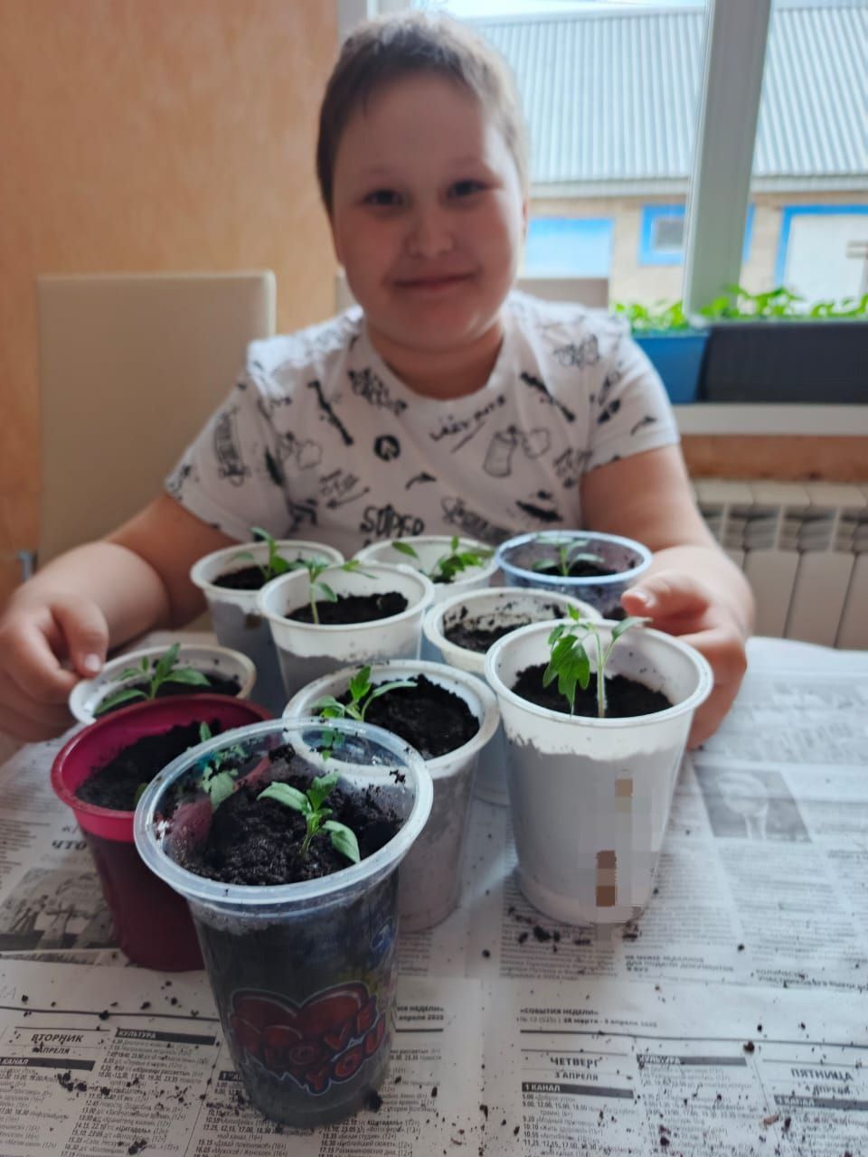Юные экологи Егоркинской школы выращивают рассаду для школьного огорода