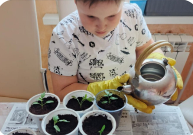 Юные экологи Егоркинской школы выращивают рассаду для школьного огорода