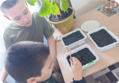 Юные экологи Егоркинской школы выращивают рассаду для школьного огорода