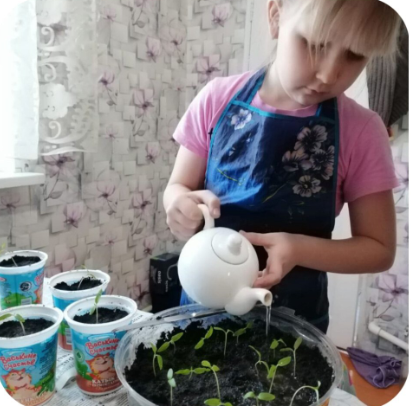 Юные экологи Егоркинской школы выращивают рассаду для школьного огорода