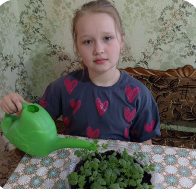 Юные экологи Егоркинской школы выращивают рассаду для школьного огорода