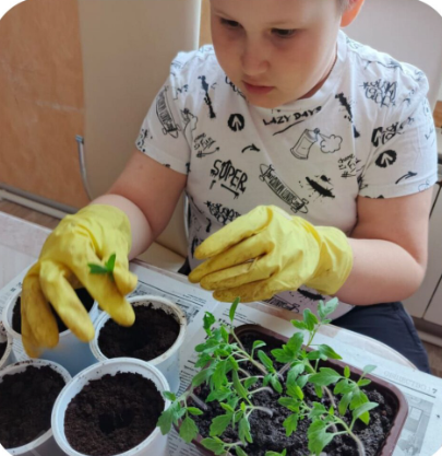 Юные экологи Егоркинской школы выращивают рассаду для школьного огорода