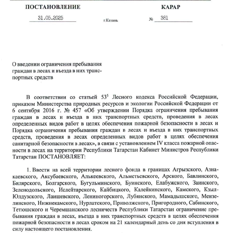 В Татарстане ввели 21-дневный запрет на посещение лесов из-за пожаров