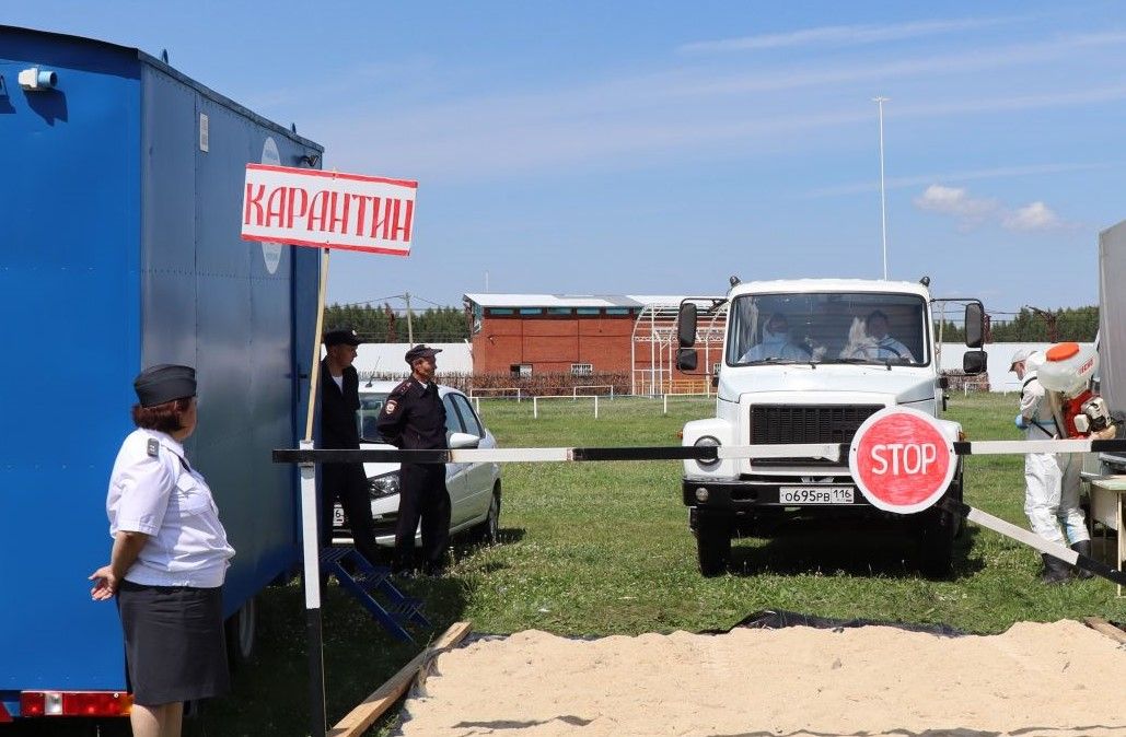 В Татарстане ввели карантин по бешенству – уже 11-й случай за год