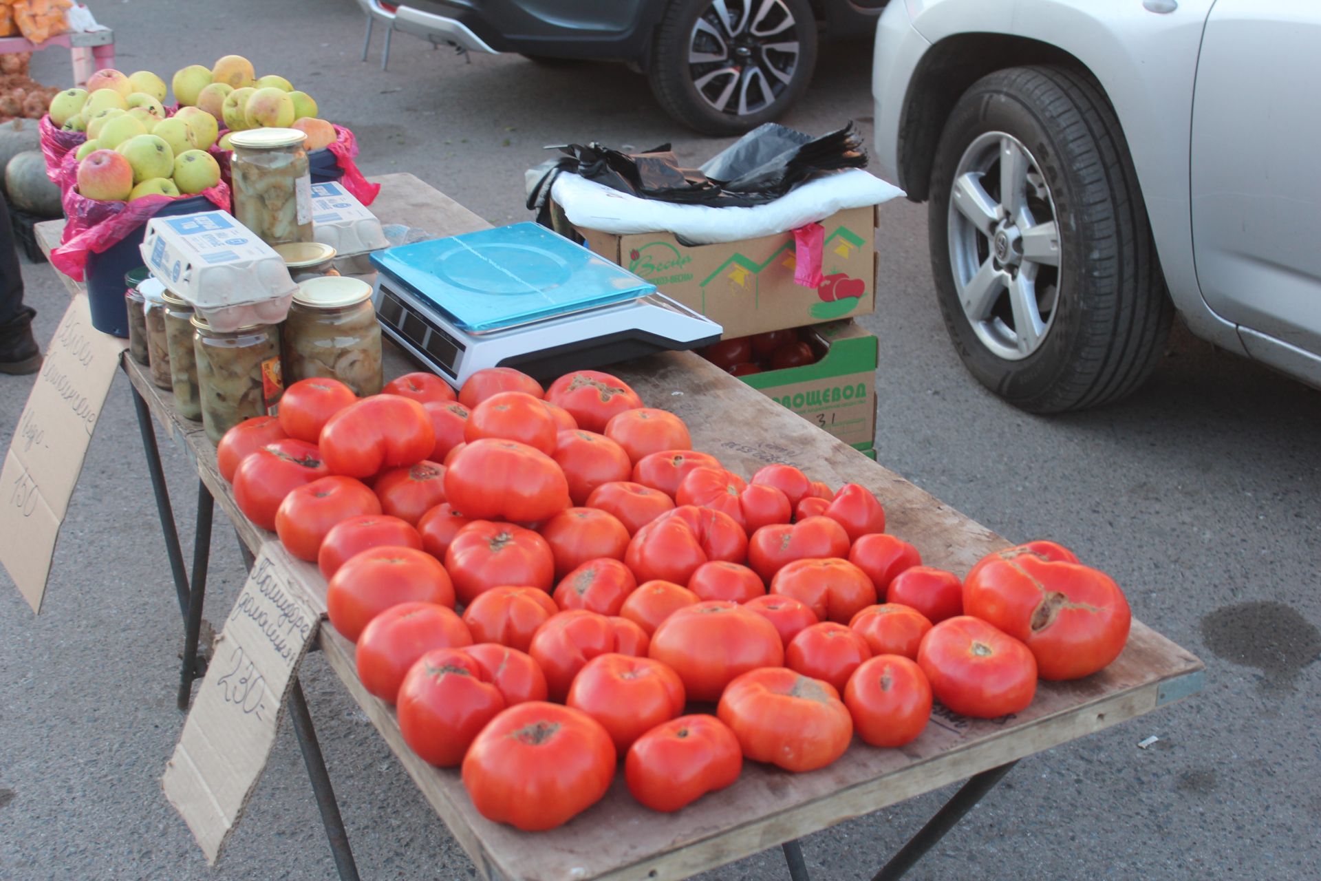 Очередная сельхозярмарка прошла в Нурлате