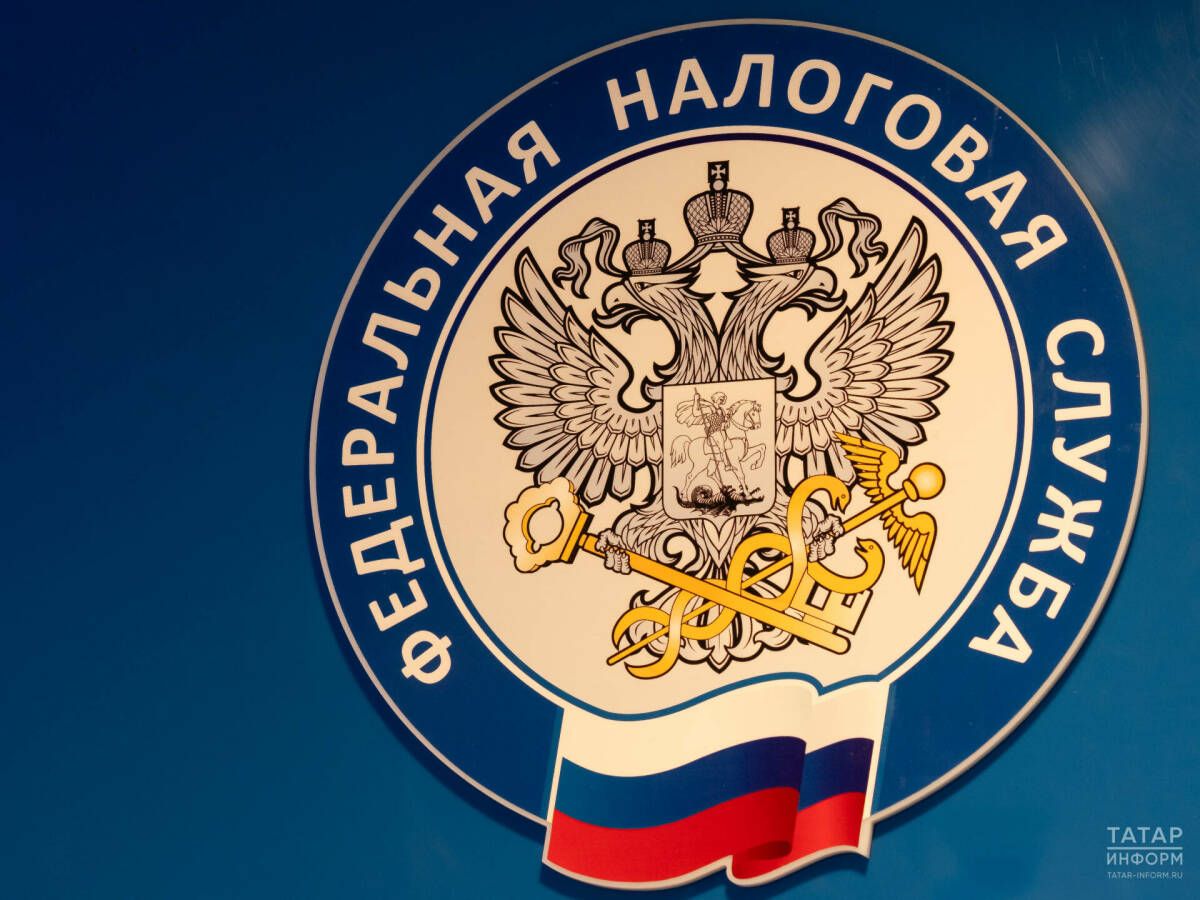 ФНС опровергла тотальную блокировку счетов физлиц за просрочку 3-НДФЛ