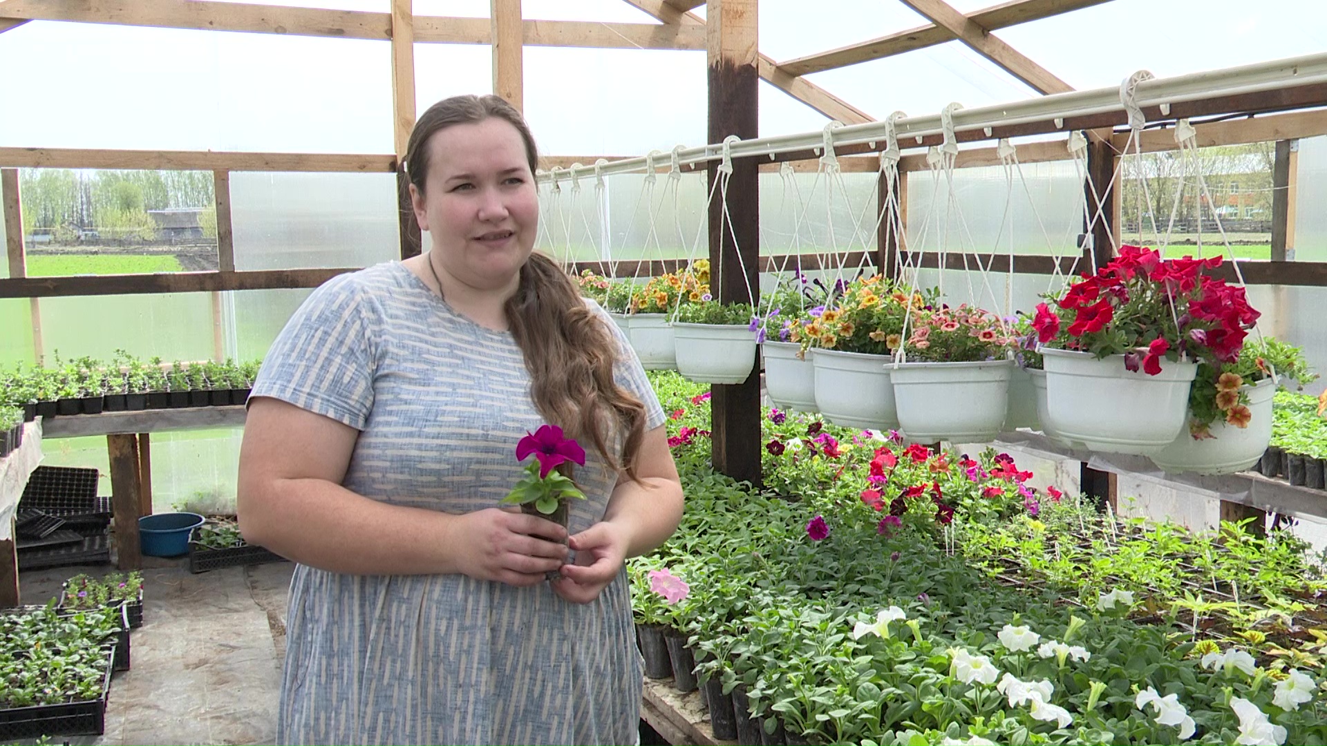 Цветочный бизнес на селе построила жительница Нурлатского района