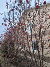 Погода в Нурлате 16 ноября