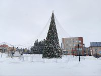 Зимние забавы для всей семьи: Программа мероприятий