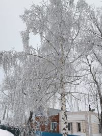 Погода в Нурлате 15 января