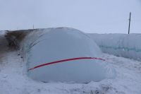 Глава Нурлатского района оценил уникальный опыт «Агрофирмы 15» по хранению сои