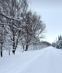 Календарь праздников на 31 января 2026 года