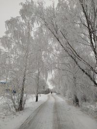 В Татарстане ожидается понижение температуры до -29˚