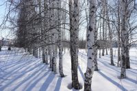 Погода в Нурлате 8 февраля