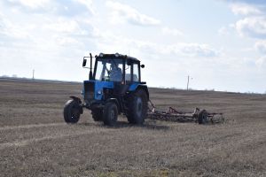 Свыше 35,8 тыс. га ранее неиспользуемых земель возвращены в Татарстане в оборот