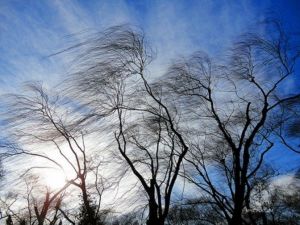 В Татарстане 31 марта ожидается сильный порывистый ветер