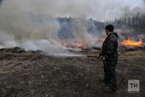 Управление Россельхознадзора Татарстана напоминает об опасности выжигания сухой травы на землях сельскохозяйственного назначения