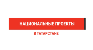 Татарстанские получатели соцконтракта прошли обучение благодаря нацпроекту