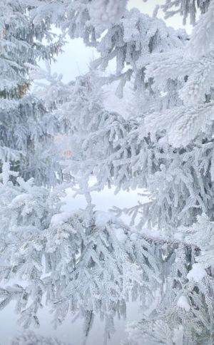 Сильный ветер и гололедица ожидаются в Татарстане 12 декабря