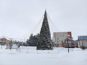 Зимние забавы для всей семьи: Программа мероприятий