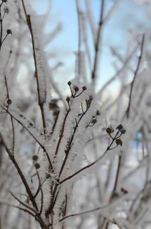 В Татарстане прогнозируют похолодание до -31 градуса