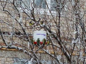 Нурлатцы, будьте осторожны: ожидается ухудшение погодных условий