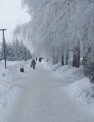 Морозы до -35° ожидаются в Татарстане в субботу