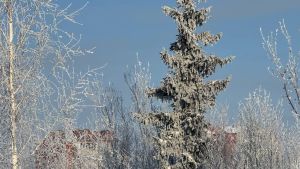 Погода в Нурлате 27 января