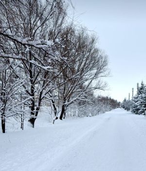Календарь праздников на 29 января 2026 года