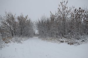 Сильный ветер, метель и гололед ожидаются на территории РТ сегодня вечером, ночью и днем 8 января