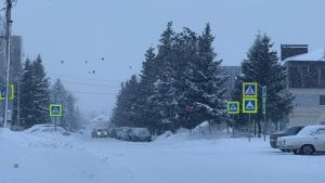 Непогода в Татарстане 16-17 февраля: прогнозируют метель, дождь, сильный ветер и гололедицу