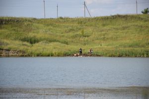 «Вода России»: эксперты и волонтеры соберутся в Челнах