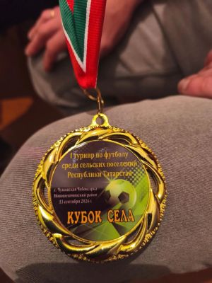 Футболисты из Егоркина выиграли «Кубок села» в Татарстане