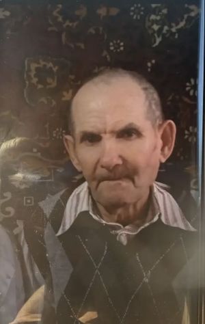 В Нурлатском районе разыскивают ушедшего за грибами 86-летнего пенсионера
