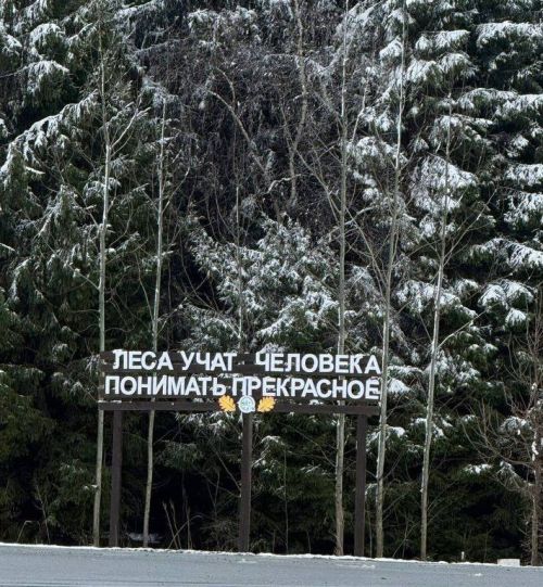 Пожароопасный сезон-2026 в лесах Татарстана стартует 15 апреля