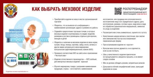 Роспотребнадзор рекомендует: как выбрать меховое изделие