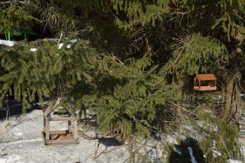Для учащихся Нурлатской гимназии провели экоурок в лесу