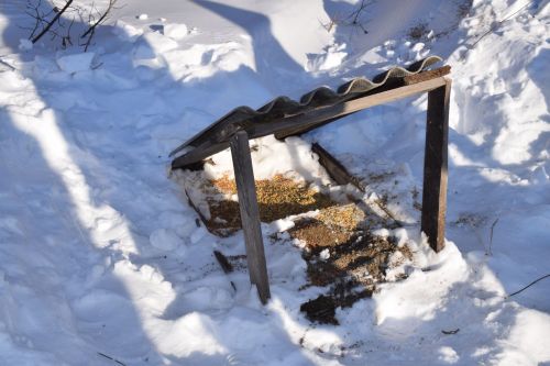 Для учащихся Нурлатской гимназии провели экоурок в лесу