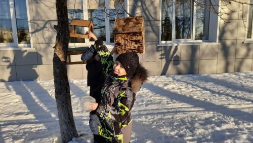 Юные нурлатцы открыли птичью столовую