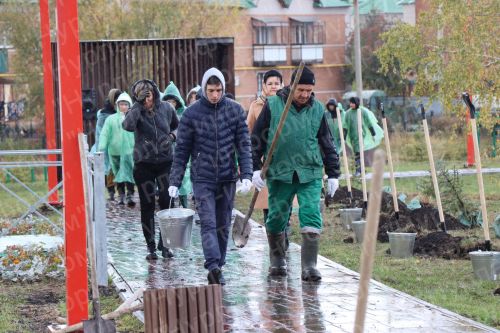 Нурлатцы деревья сажали вместе с министром