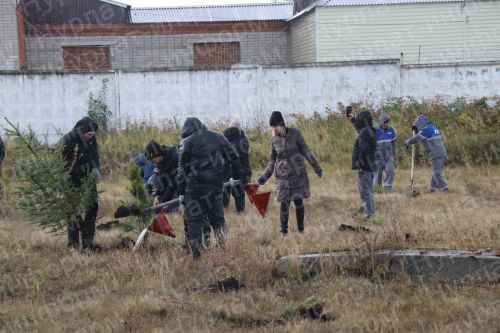 Нурлатцы деревья сажали вместе с министром
