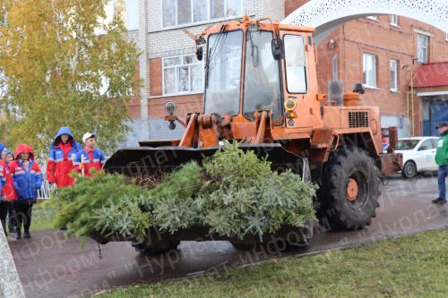 Нурлатцы деревья сажали вместе с министром
